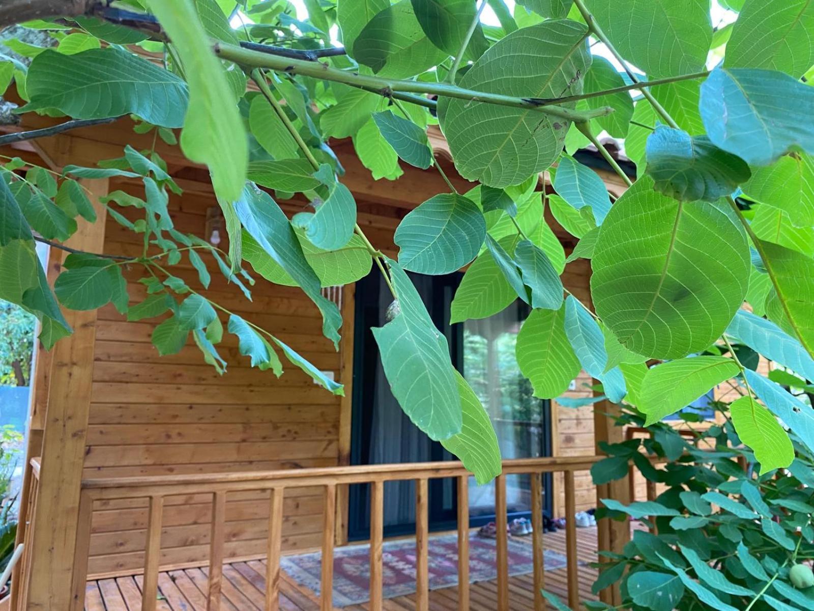 Aile Odası - Balkonlu